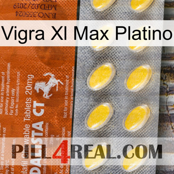 Vigra Xl Max Platinum 42.jpg